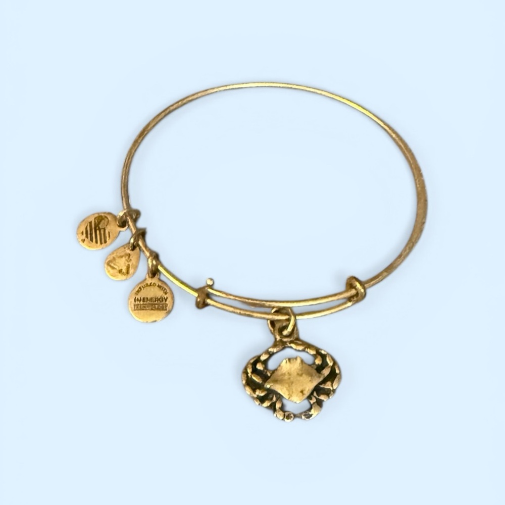 🦀ALEX AND ANI🦀Crab Charm Bangle in Rafaelian Gold/NWOT - Picture 2 of 3